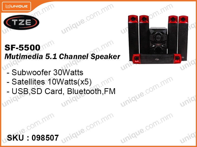 TZE SF-5500 Multimedia 5.1 Channel Speaker