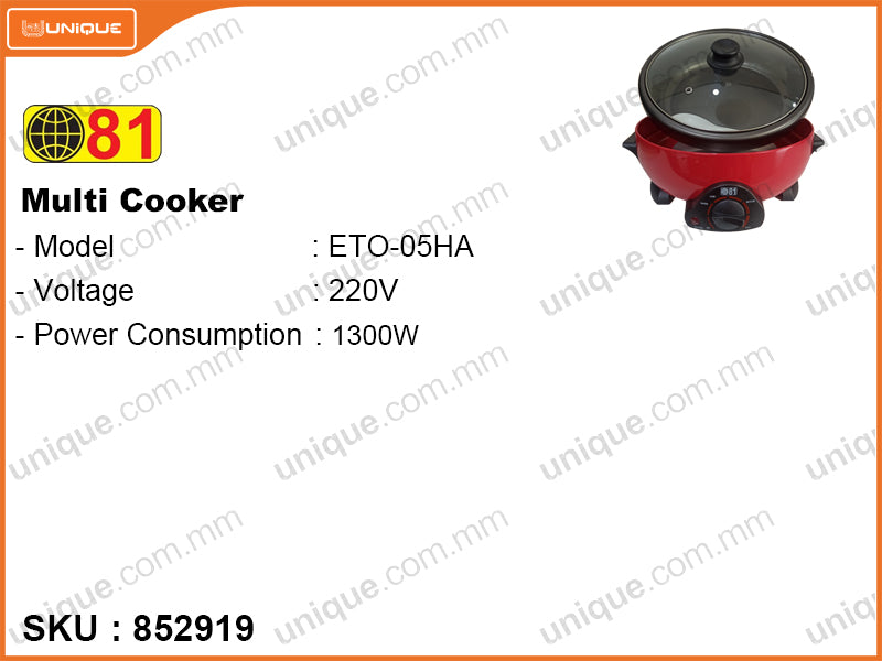 81 ETO-05HA Multi Cooker 1300W