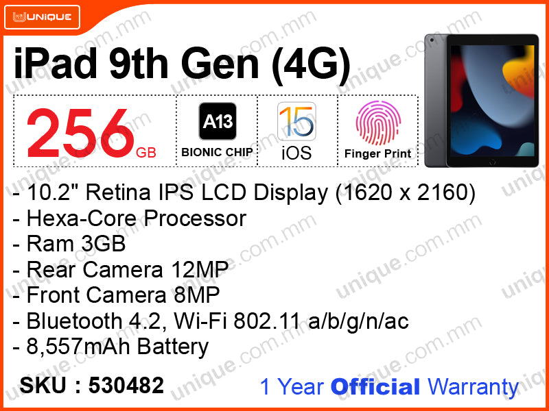 iPad 9th Gen 256GB 4G