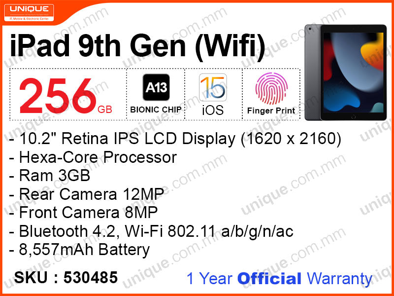 iPad 9th Gen 256GB Wifi