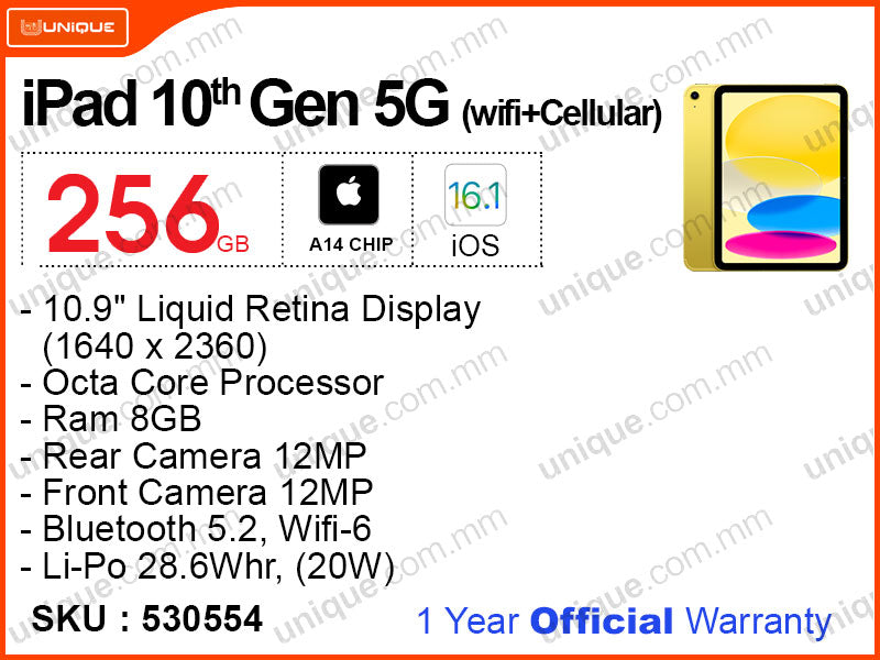 iPad 10th Gen 5G 256GB