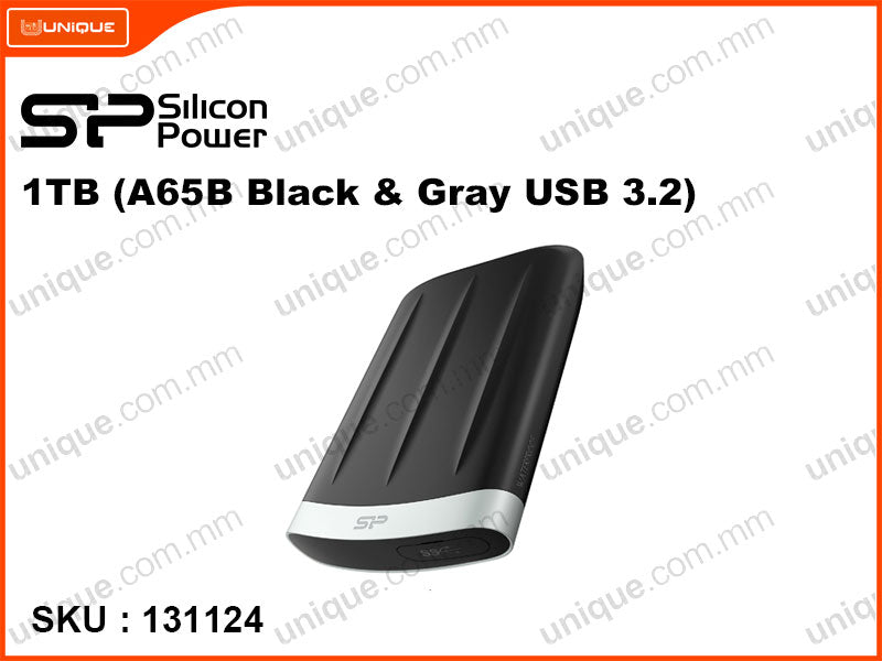 Silicon Power 1000 GB (Armor A65B USB 3.0)